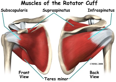 rotator-cuff-muscles-injury